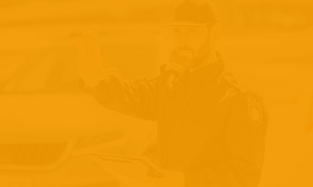 blog-sari
